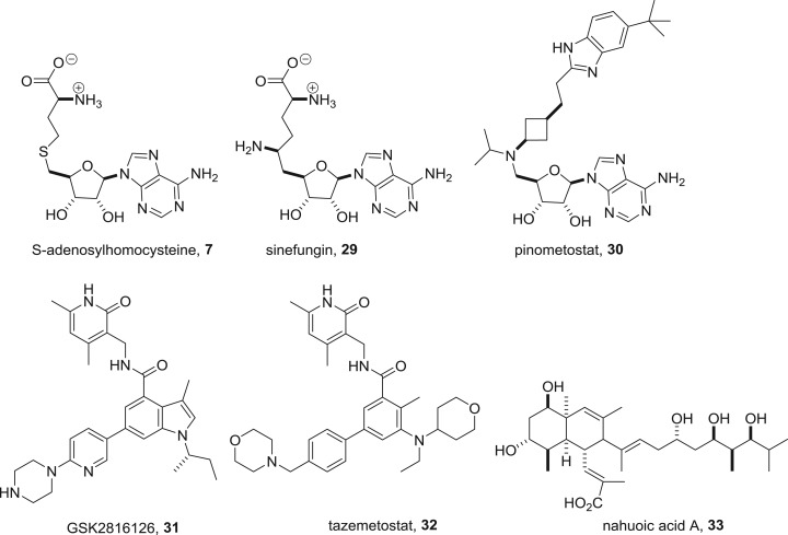 Figure 16.