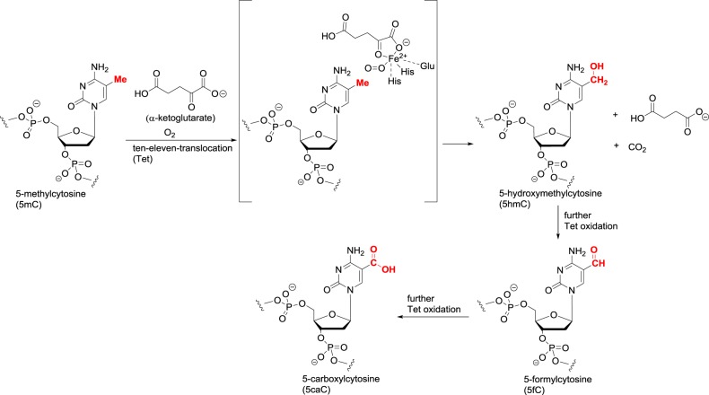 Figure 10.