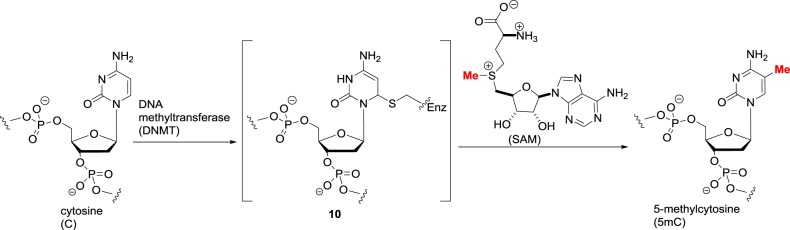 Figure 9.