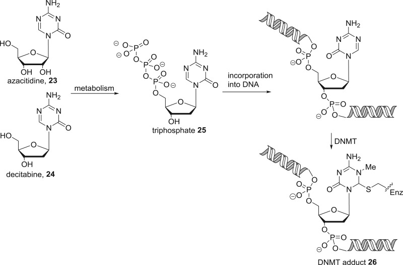 Figure 14.