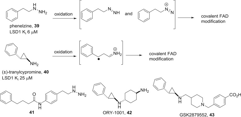 Figure 19.