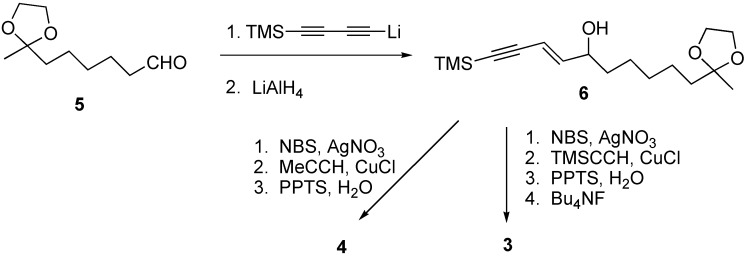 Scheme 2