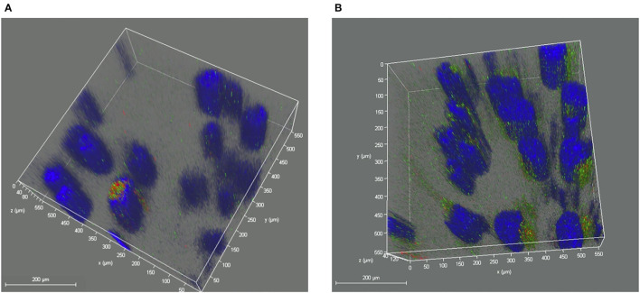 Figure 10