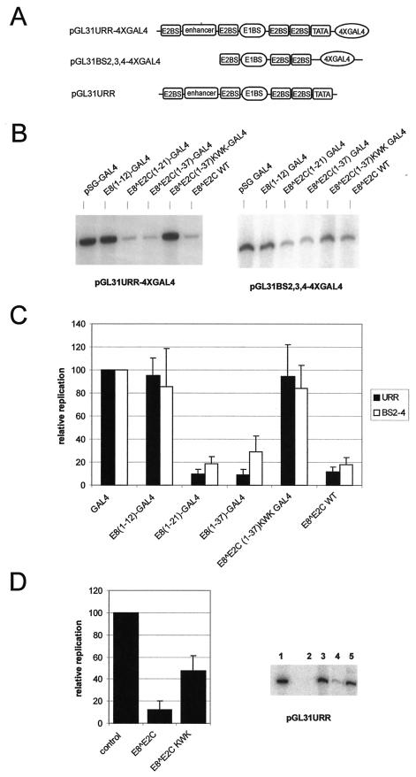 FIG.4.