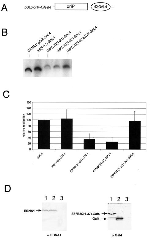 FIG. 5.