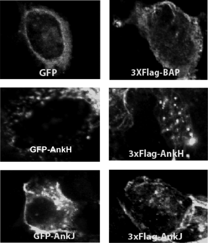 FIG. 6.