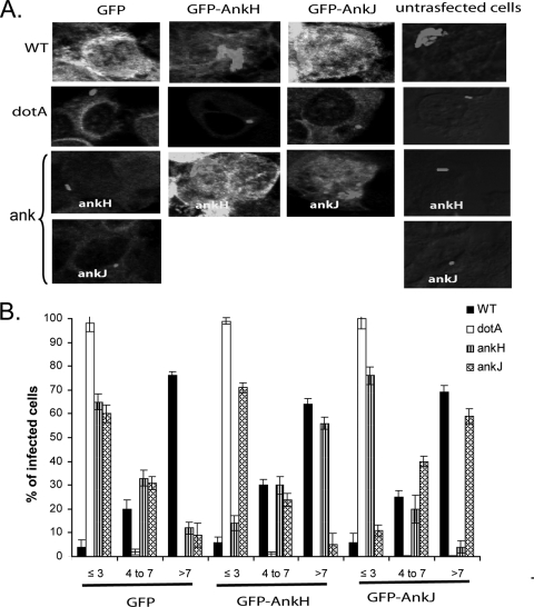 FIG. 8.