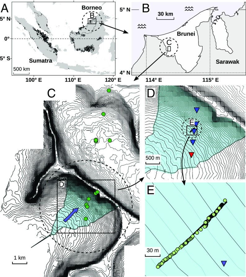 Fig. 2.