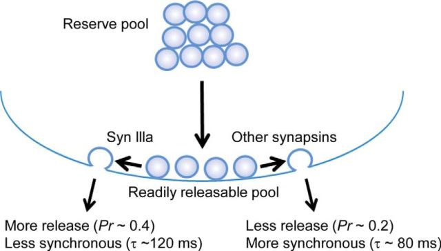 Figure 12.