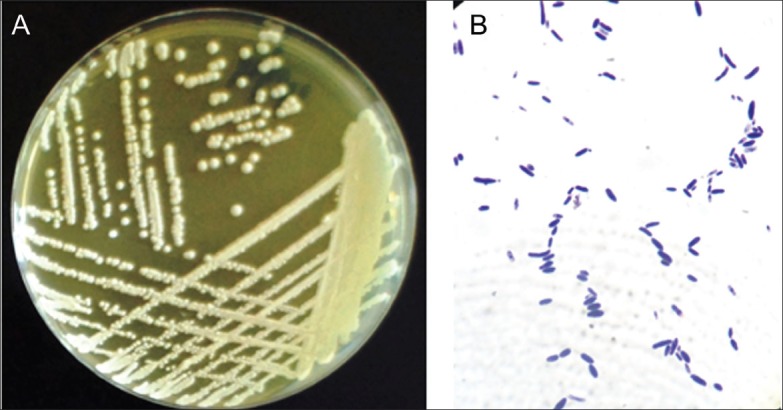 Figure 2.