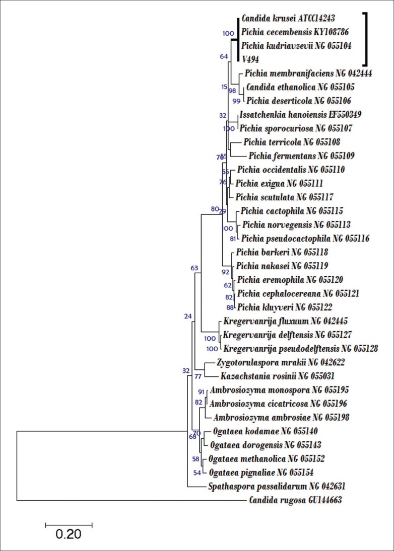 Figure 3.