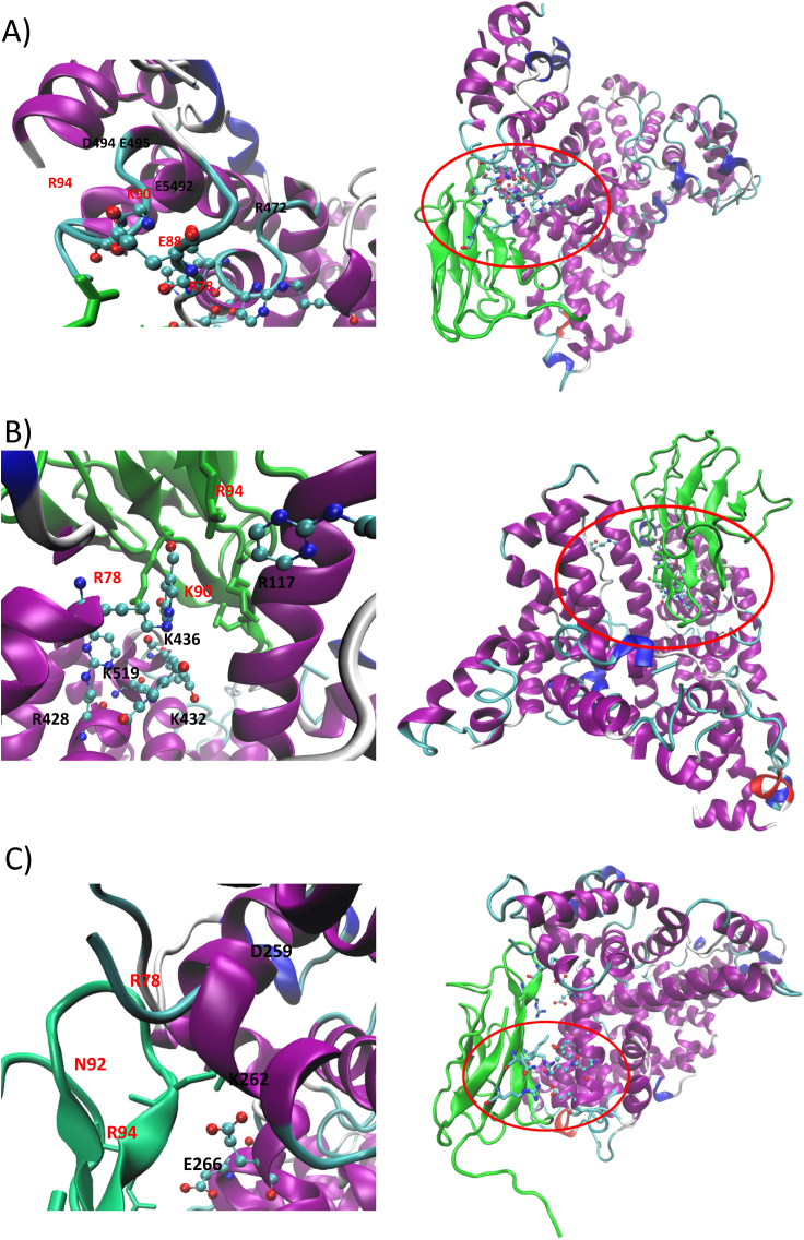 Fig. 7