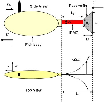 Fig. 2