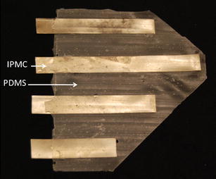 Fig. 8