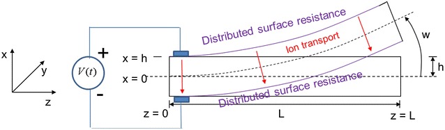 Fig. 3