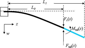 Fig. 4