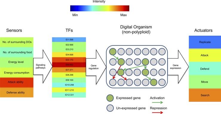 Fig 1