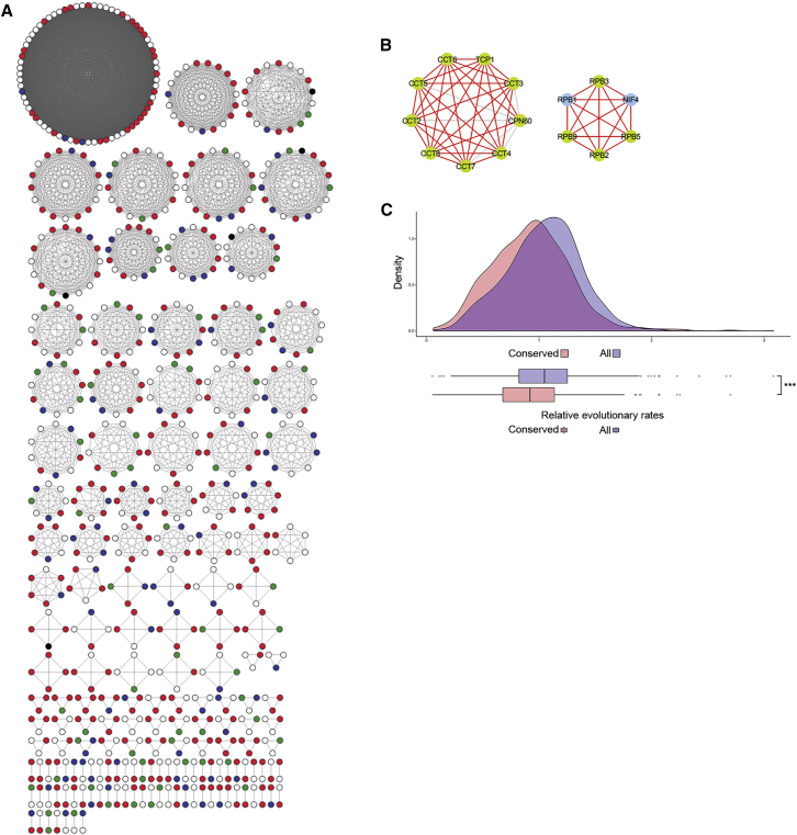 Figure 4