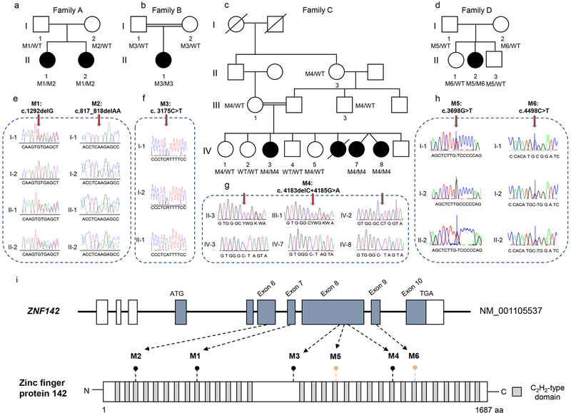 Fig. 1: