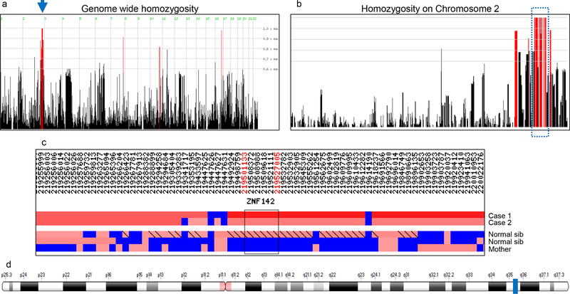 Fig. 2: