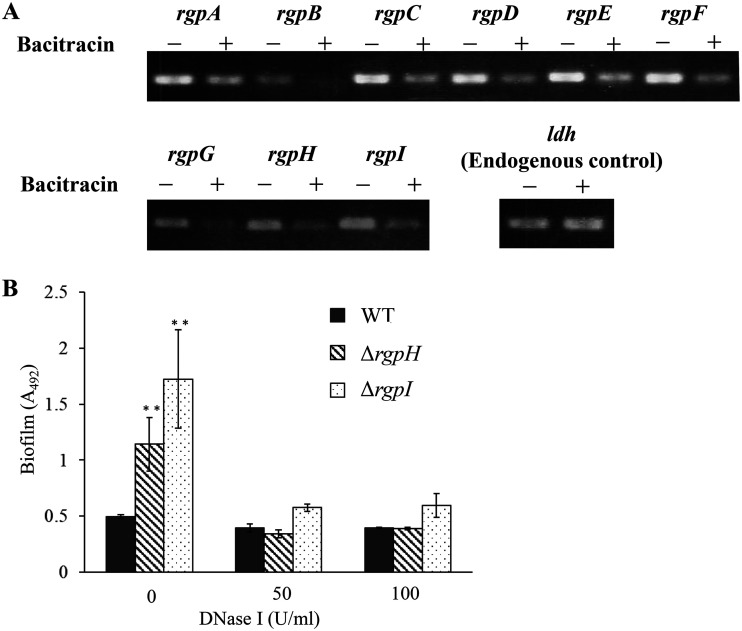 FIG 8