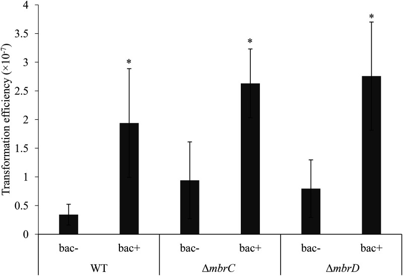 FIG 10