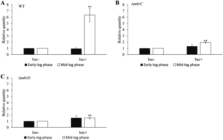 FIG 4