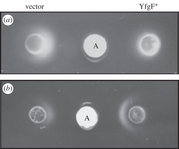 Figure 2.