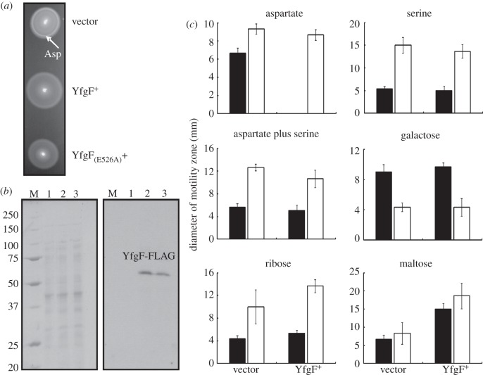 Figure 1.