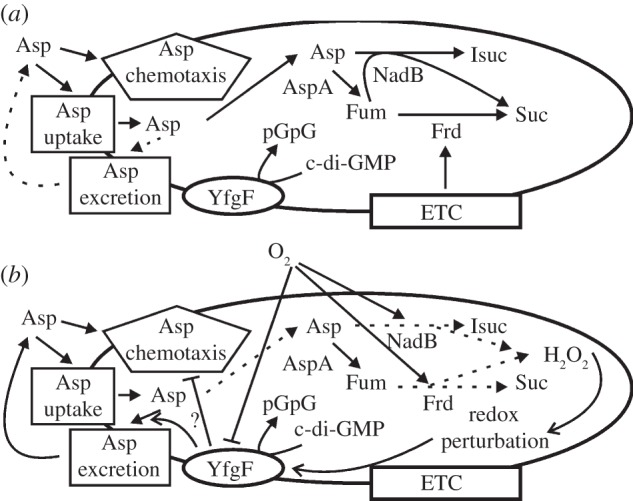 Figure 5.