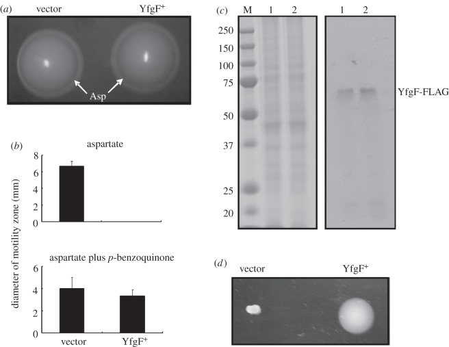 Figure 3.