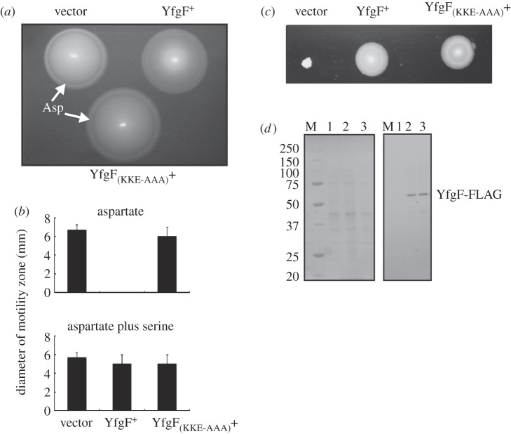 Figure 4.