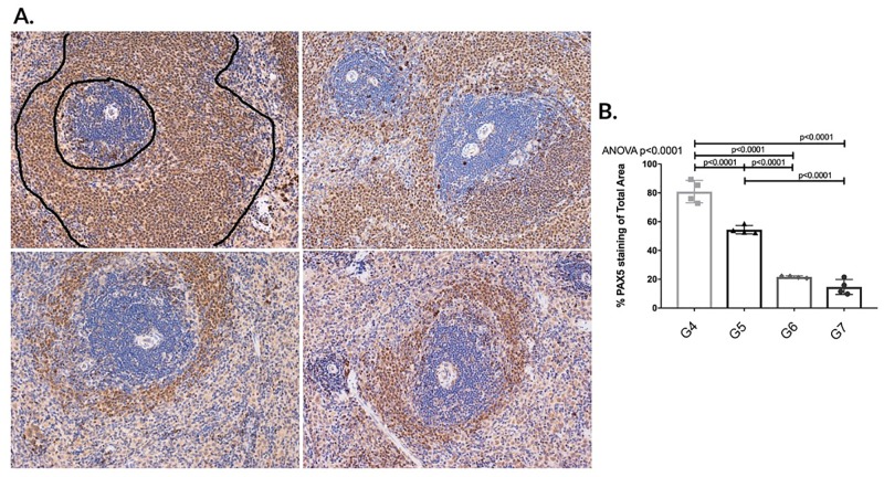 Fig 12