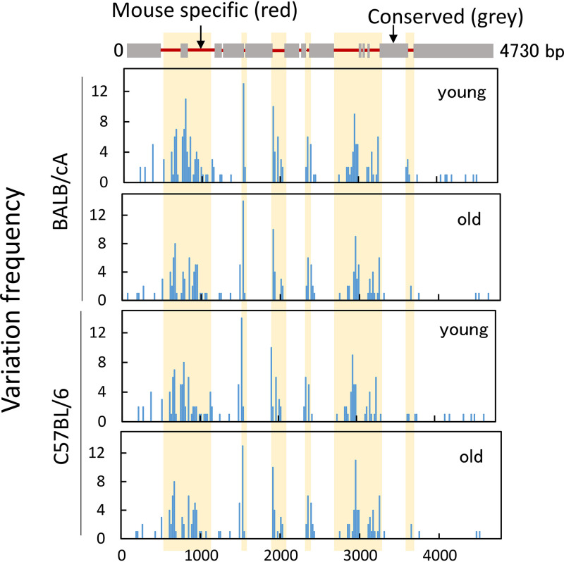 FIG 10