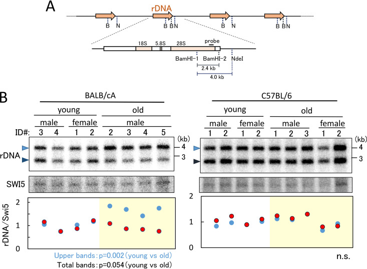 FIG 3