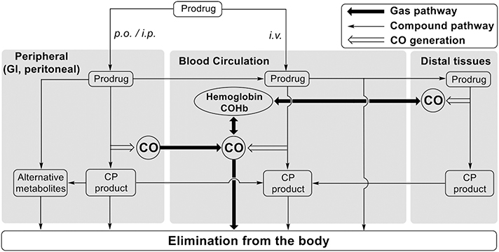 Fig. 8.