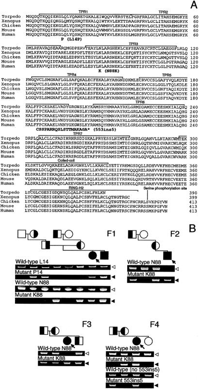 Figure  4