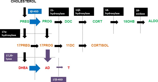 Figure 3