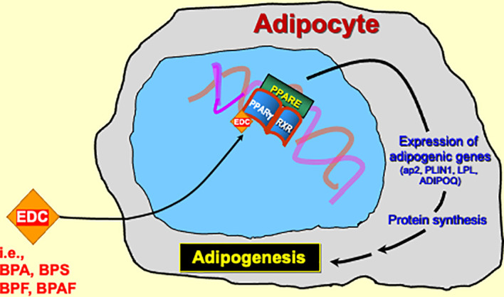 Figure 2