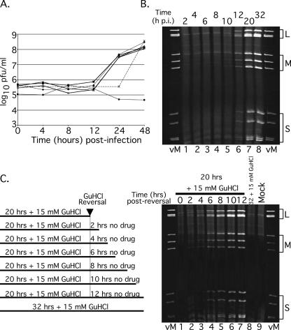 FIG. 7.