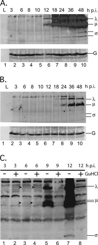 FIG. 6.