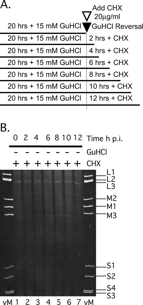 FIG. 9.