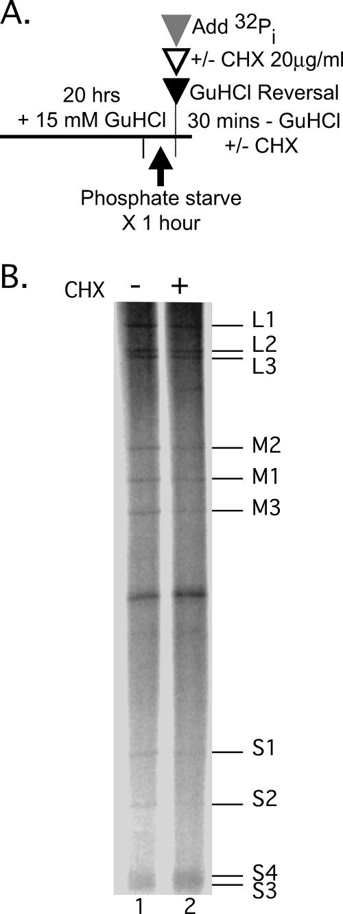 FIG. 8.