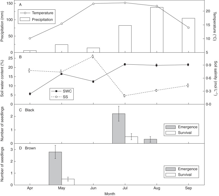 Fig. 10.