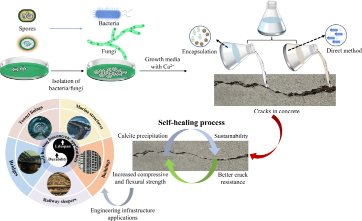 Advances In Microbial Self Healing Concrete A Critical Review Of Mechanisms Developments And