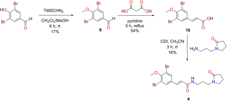 Scheme 1