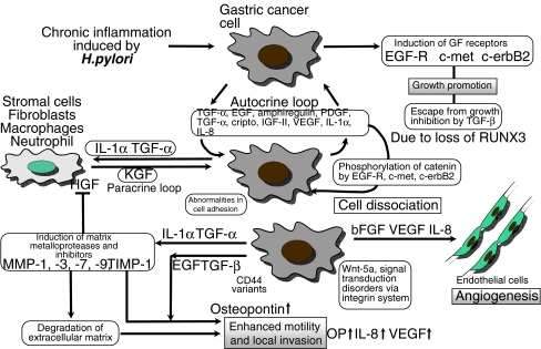 Fig. 1