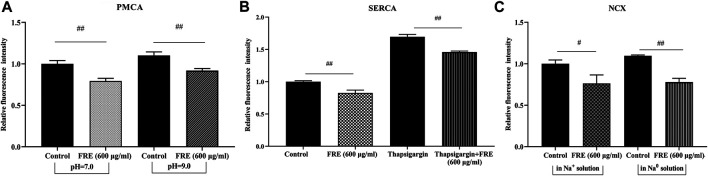 FIGURE 6