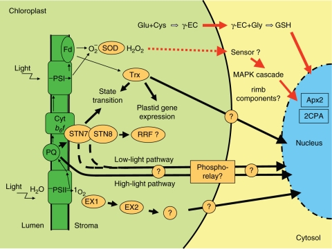 Fig. 2.