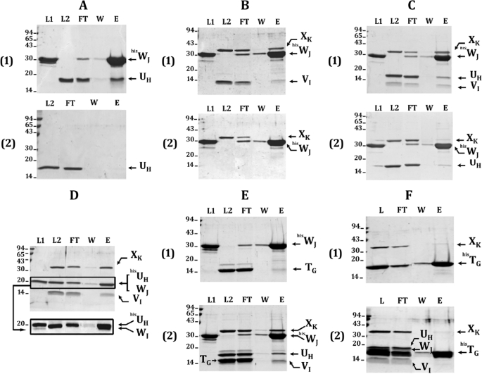 FIGURE 3.